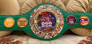 เข็มขัดแชมป์แบบกำหนดเอง (ทองแดง/โลหะผสมทองแดง)-ถ้วยรางวัล เหรียญรางวัล และรางวัลต่างๆ สัญลักษณ์สูงสุดแห่งชัยชนะและความเป็นเลิศ - Product Image 4