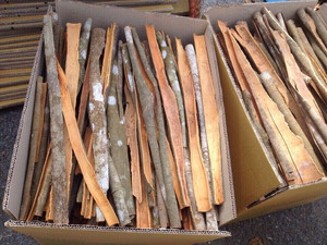 ส่งออกซินนามอนสินค้าเกษตรจากเวียดนาม - Product Image 3