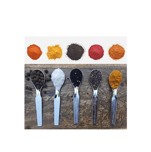 Cuchara Masala de acero para té, café, azúcar, condimentos, cuchara para recipientes pequeños de artesanía india - Product Image 1