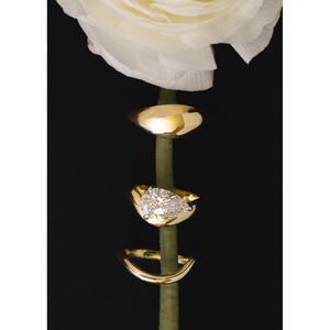 <strong>Solei</strong> Diamond Ring with Pear Shaped Diamond Elegant and Luxurious Accessory - Product Image 6