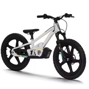 Prix chaud incroyable pour Husqvarnaas E1.20 neufs/d'occasion pour jeunes motocyclettes à vendre - Product Image 3
