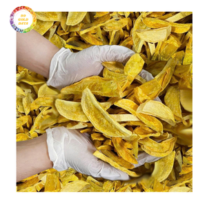 Mangue lyophilisée - Tranches de mangue sucrées et acidulées pour grignoter, la pâtisserie et la cuisine, excellent prix pour les achats en gros - Product Image 2