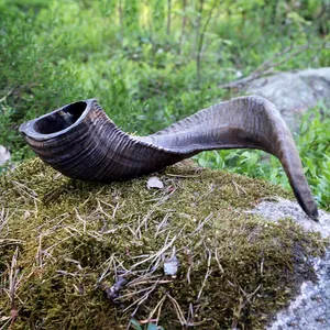 Prix usine toutes tailles klaxon de bélier fait à la main casher Shofar poli fabriqué en corne de Kudu naturel Ram Shofar hébreu trompette soufflant corne - Product Image 5