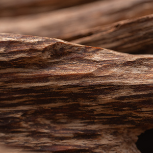 Việt Nam Ant agarwood chip, nhựa cao, cho cao cấp hương & bakhoor, Nha Trang agarwood chip - Product Image 2