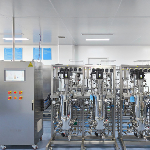 Bailun 30-300L ถังหมักเครื่องปฏิกรณ์ชีวภาพแบบเคียงข้างกัน - Product Image 1