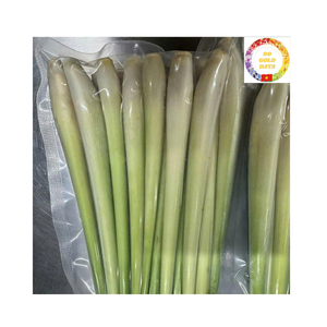 ตะไคร้แช่แข็งจากเวียดนามสำหรับใช้ในอุตสาหกรรมอาหารส่งออกจำนวนมาก - Product Image 1