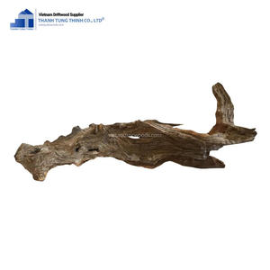 New Item Natural Driftwood Aquascape Decor International Logictics Made In Vietnam - Product Image 1