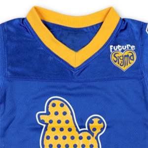 SGR Maillot de football pour enfants Royal 100% Polyester Sigma Gamma Rho Maillot pour jeunes Boucliers et patchs de broderie Vêtements de sororité - Product Image 3