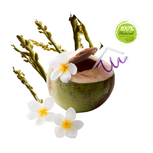 มะพร้าวบริสุทธิ์จากเวียดนามแบบสดหวานและเป็นธรรมชาติพร้อมเปลือก - Product Image 2