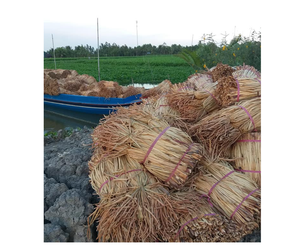 Vente en gros de matériaux bruts de jacinthe d'eau séchée du Vietnam, bonnes affaires sur les produits agricoles, prêts pour l'expédition en vrac - Product Image 3