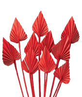 Feuilles de palmier Lance Feuilles de palmier naturelles Lance de palmier Fête des mères Saint Valentin Noël Merci Cadeaux pour chaque fois