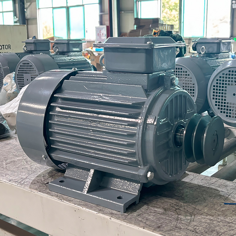 LANDTOP Single Phase Motors Electric AC