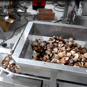 Cubo tipo <span class=keywords><strong>Z</strong></span> de calidad, elevador de granos de café, embalaje de especias, alimentos, verduras, paquete de máquina de envasado de carbón - Product Image 5