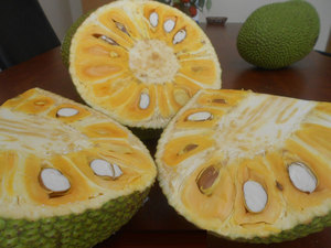 ขนุนแช่แข็งจากเวียดนาม/ ราคาขนุน คุณโซฟี - Product Image 5