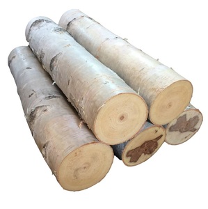 Birch Wood Logs - Kiln Dried for Pulp and <b>Paper</b> Production - Product Image 6