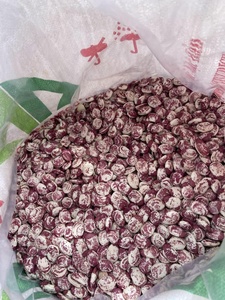 Haricots royaux vietnamiens de haute qualité à utiliser pour faire des desserts ou une cuisine bonne pour la santé - Product Image 5