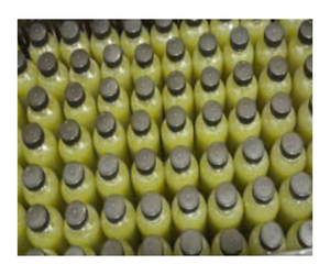 LE MEILLEUR PRIX POUR LE JUS DE CANNE À SUCRE CONGELÉ DU VIETNAM - Product Image 1