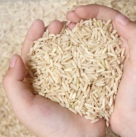 Riz Arborio de marque italienne Riso Scotti à grains longs 1 kg Qualité supérieure Emballé sous vide Doux Sans OGM Séché Frais Fabriqué en Italie