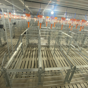 กรงคลอดสแตนเลสคุณภาพสูง สภาพใหม่ สำหรับกระต่าย จากผู้ผลิตในเอเชีย - Product Image 1