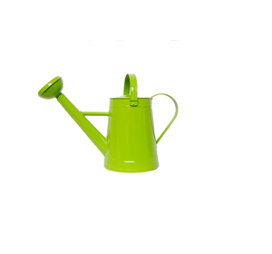 Design de luxe en métal arrosoir fait à la main de différentes couleurs rouge/vert/bleu arrosoir à un prix abordable - Product Image 6