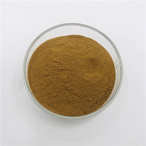 Polvo de Avellanas Naturales de Alta Calidad con Certificación ISO, Polvo de Avellanas Peladas - Product Image 4