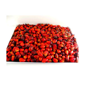 Producto nutritivo similar a la almendra de aceite de palma roja refinado de alta calidad 100% - Product Image 3