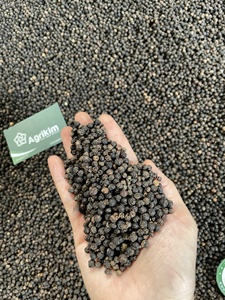 Poivre noir entier 5 mm Densité 570gl Grande taille Grains de poivre Vietnam Original Prix bas +84399521266 Mme Mia Certifié ASTA - Product Image 4