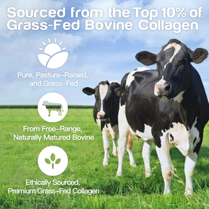 Poudre de collagène bovin pur en vrac poudre de peptide de collagène bovin poudre de collagène bovin hydrolysé - Product Image 4