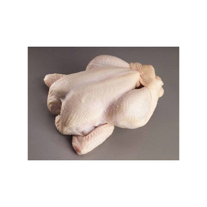 Proveedor Premium Halal congelado pollo entero Halal carne procesada de pollo Halal de Brasil - Product Image 4
