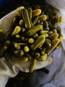 Concombre mariné du Vietnam, tranches de concombre croustillantes de qualité supérieure, prêt à l'exportation, vente en gros, approvisionnement en usine - Product Image 3