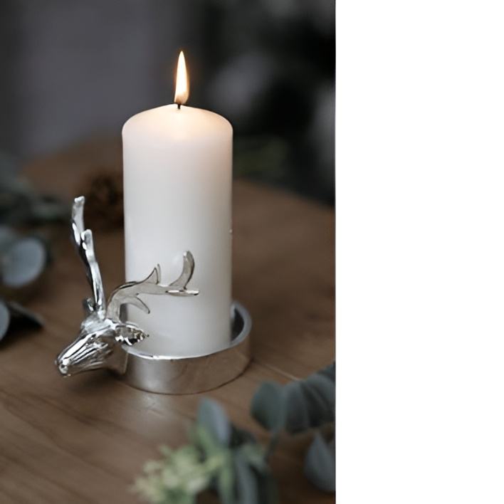 ตามที่แสดง