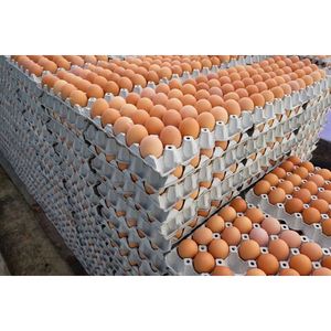 Fresh Chicken Table <b>Eggs</b> 60g in <b>Cartons</b> OEM Brand for Wholesale and Retail Supply - Product Image 1
