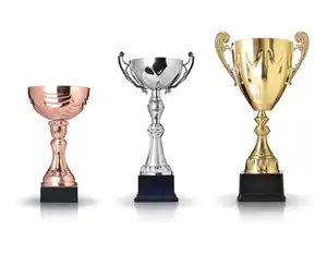 Yeni tasarım metal kupa özelleştirilmiş basketbol futbol şampiyonası oyunu yaratıcı ödül madalya kupa özelleştirme kazınmış logosu