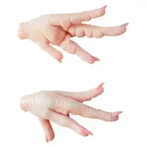 Good For Cooking Frozen Chicken Paw Premium Grade Frozen Chicken Feet Bulk Order Ready To Export From Canada Manufacturer