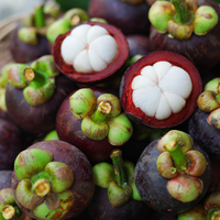 Hoogwaardige verse mangosteen - Vietnamees tropisch fruit voor export en groothandel