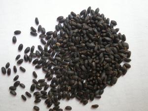 Venta al por mayor Semillas de chía Materia prima Alta pureza Calidad Semillas de chía negras Semillas negras Fábrica al por mayor Albahaca orgánica de alta calidad - Product Image 2