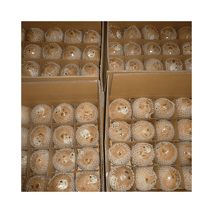 Coco maduro semidescascarado para marinar a la parrilla y carritos de comida callejera, Exportación constante desde Vietnam - Product Image 4