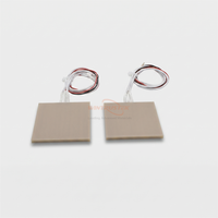 Chauffe-plateau personnalisé en AlN avec capteur thermocouple de type K intégré