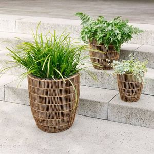 Jardineras de ratán para decoración de jardín con soporte de hierro jardinera de ratán natural con soporte negro de pie de suelo grande a bajo precio - Product Image 2