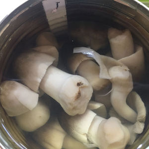 Champignons Frozen, 6 pièces, à vendre - Product Image 5