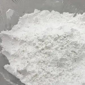 2024 Calcium Carbonate Price Heavy 98% Carbonate White Powder Heavy Calcium Carbonate Nanoparticle CAS 471-34-1