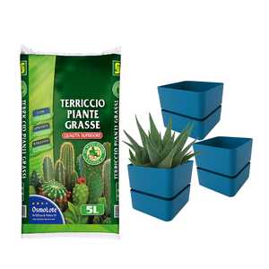 Kit terreno succulento 5L + 3 vasi 12x11cm (Denim/Curry/corallo) vasi da giardino e fioriere - Product Image 1