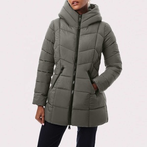 Chaqueta de Invierno Personalizada OEM para Mujer, Chaqueta con Capucha, Estilo Largo, Impermeable, Cortavientos, Relleno de Poliéster, Chaqueta Acolchada - Product Image 1