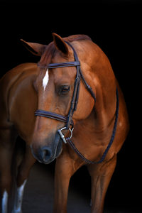 Fabricant de bride en cuir de cheval Accessoires de cheval haut de gamme - Product Image 3