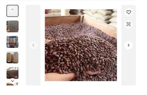 Offre spéciale de fèves de cacao crues séchées fèves de cacao fermentées fèves de cacao Ariba fèves de cacao à vendre - Product Image 2