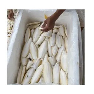 Gedroogde Zeevruchten Inktvis/Cuttle Fish Bone_cuttlebone Wa 84 327076054