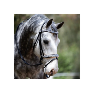 Bride de cheval vénitien en édition limitée de haute qualité du fournisseur indien authentique Bride saisonnière de réduction de poids en gros - Product Image 1