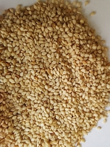 เมล็ดงาขาวออร์แกนิคพรีเมียม ความบริสุทธิ์ 99.98 เปอร์เซ็นต์ ปลอดจีเอ็มโอ ธรรมชาติ จำหน่ายจำนวนมาก เหมาะสำหรับการทำอาหารเพื่อสุขภาพ ขนมขบเคี้ยว และการค้า - Product Image 4