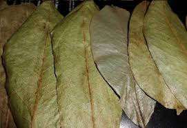 HOJAS DE URENSA SECAS NATURALES // GRAVIOLA // Mr. Lucas - Product Image 6