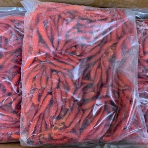 Chile Rojo Largo Congelado IQF Cultivado en Invernadero Vietnamita, Empaque a Granel, Calidad Superior, Picante - Product Image 2